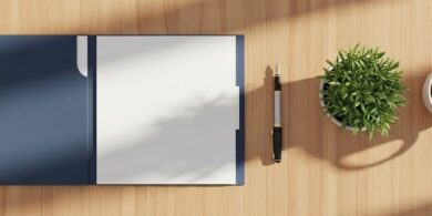 書類とペン、観葉植物を並べた明るい机の俯瞰イメージ。帰化申請の準備を象徴する記事のアイキャッチ。